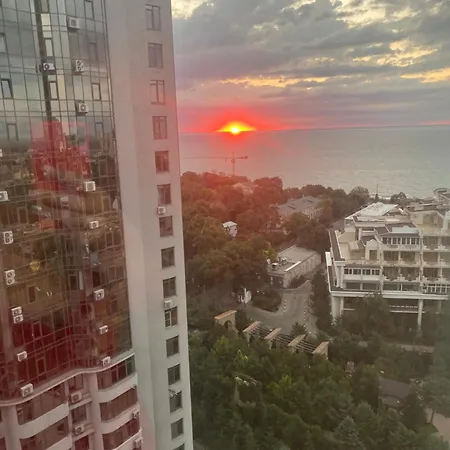 Arcadia Adelina * Odessa