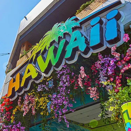 Arcadia Adelina Odesa